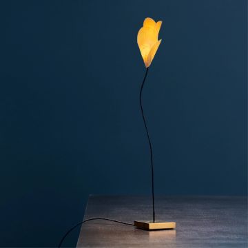 For You - Lampada da tavolo