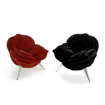 Rosa Chair - Poltrona